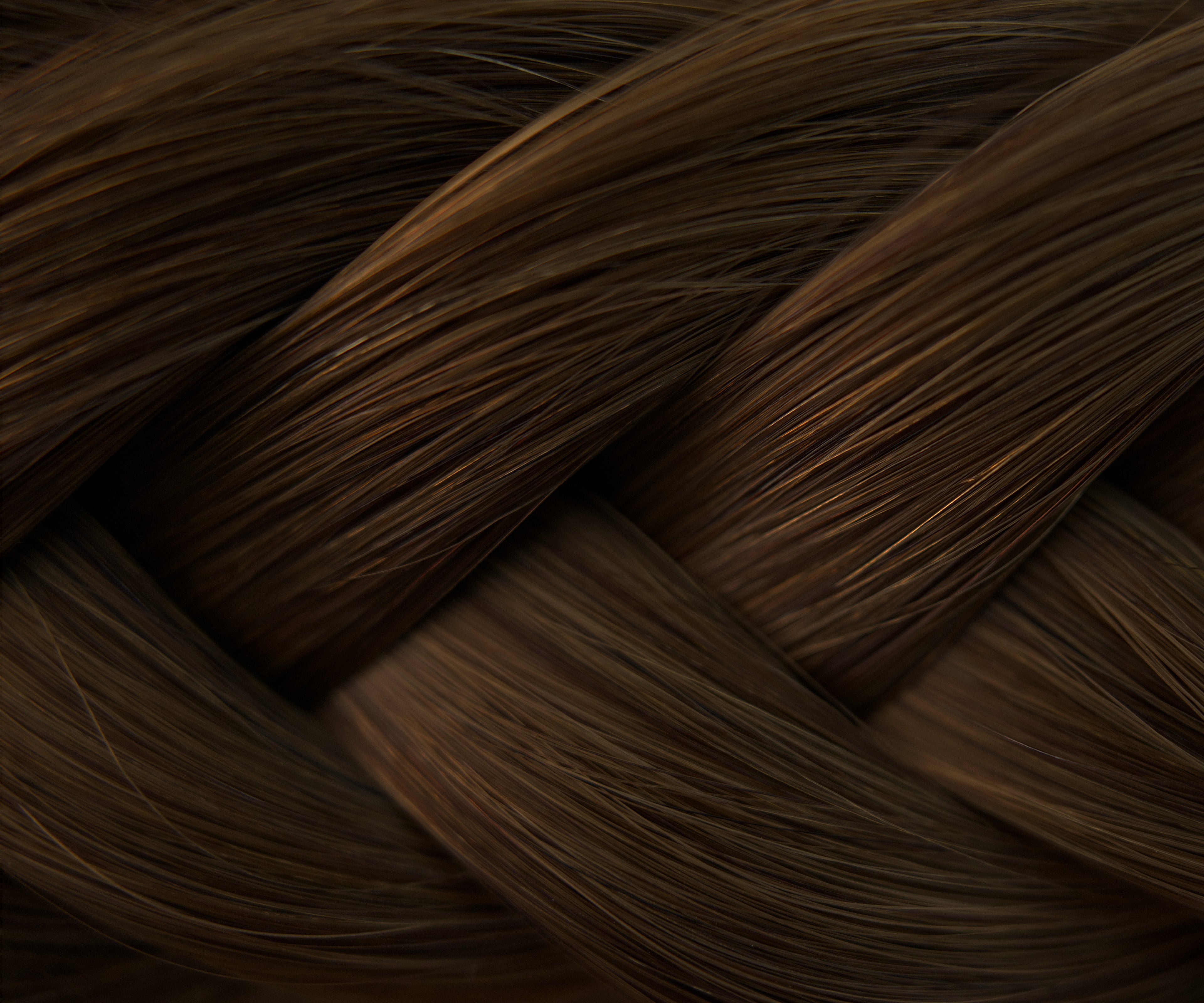 Brąz #4 (włosy słowiańskie)